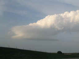 22May2003Bthumb.jpg (15895 bytes)