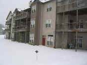 2004Jan25snowstormBMG 004rethumb.jpg (10004 bytes)