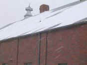 2004Jan25snowstormBMG 006rethumb.jpg (9074 bytes)