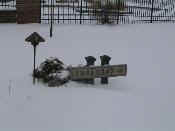 2004Jan25snowstormBMG 009rethumb.jpg (8503 bytes)