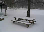 2004Jan25snowstormBMG 013rethumb.jpg (9502 bytes)