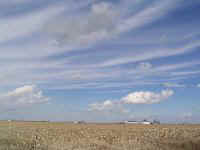 2004March1 001thum.jpg (10083 bytes)