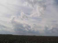 2004March1 004thum.jpg (9188 bytes)