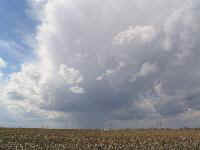 2004March1 007thum.jpg (9522 bytes)