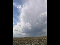 2004March1 008thum.jpg (9254 bytes)