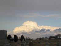 2004March1 013thum.jpg (8899 bytes)