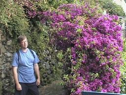 REST EXCUSEthumb.jpg (19362 bytes)